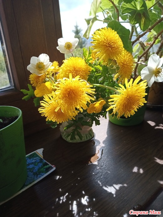 Зачем человеку мечта/желание? - Страна Мам