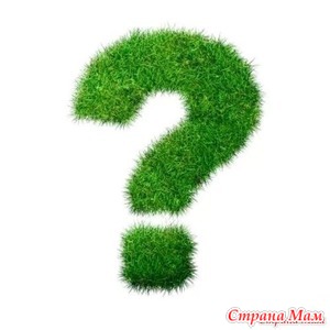 ���� ������� ���������. ��� ��������� �����?