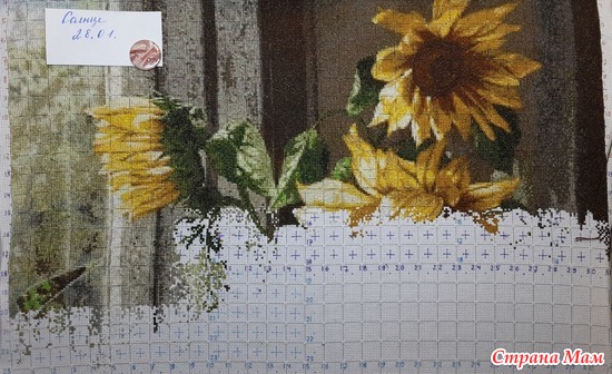 28.01.24