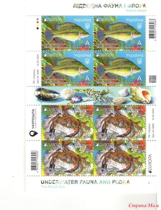 ��������� ����� � �����