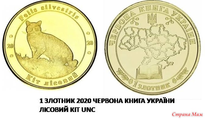 ������ ���. ������� ����� ������� 2020