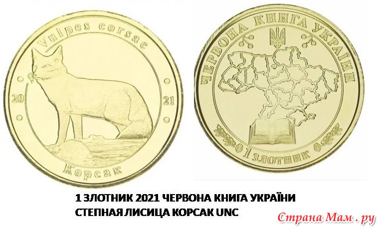 ������� ���� ������. ������� ����� ������� 2021