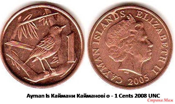 1 ���� ��������� ������� 2008