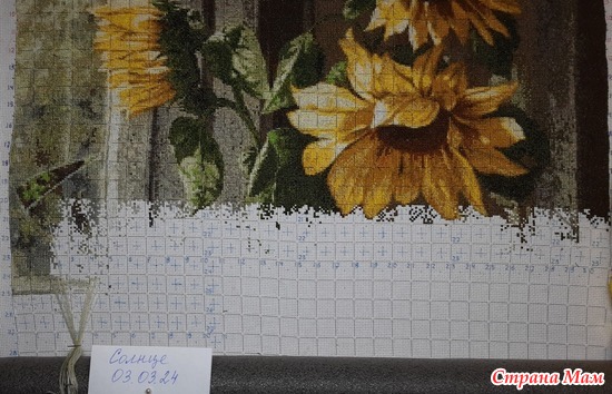 03.03.24