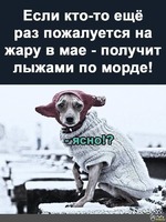 Люблю снежок вначале мая.