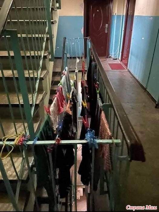 ����� ������� ���