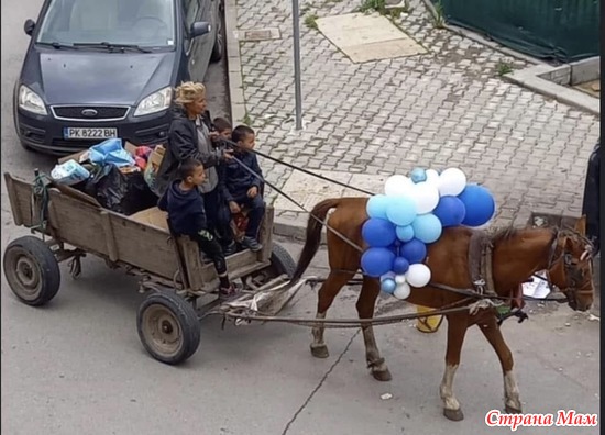 �������� ������