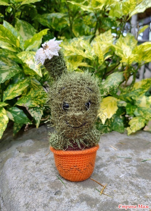  Maurizio