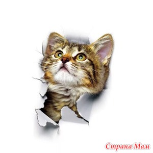 Есть вопрос по корму для котов.