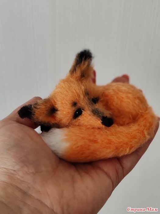 -fanofcats 