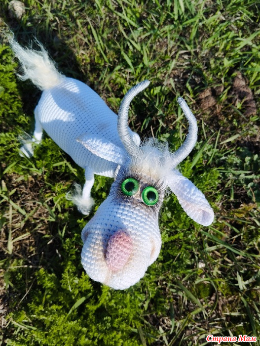 ����-������