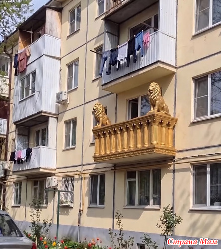 ���� �� �������