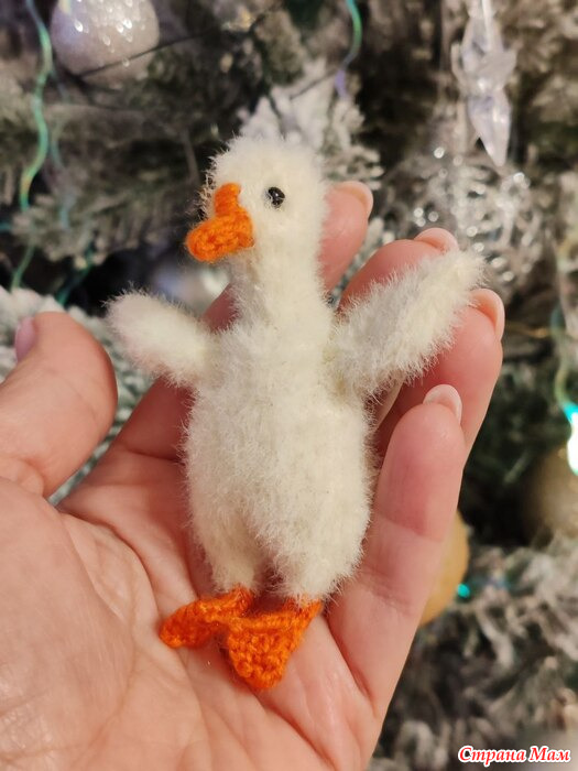 �7 ��������-fanofcats