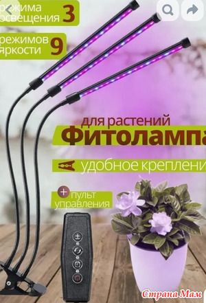 ����� ��������� ��� �������.