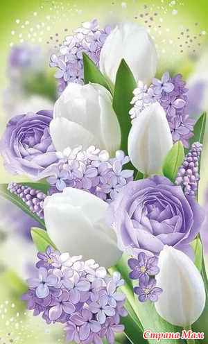 ����� �� ������ 8 �����.