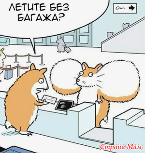 ������� �����