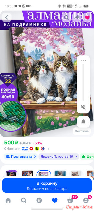 �� ����������